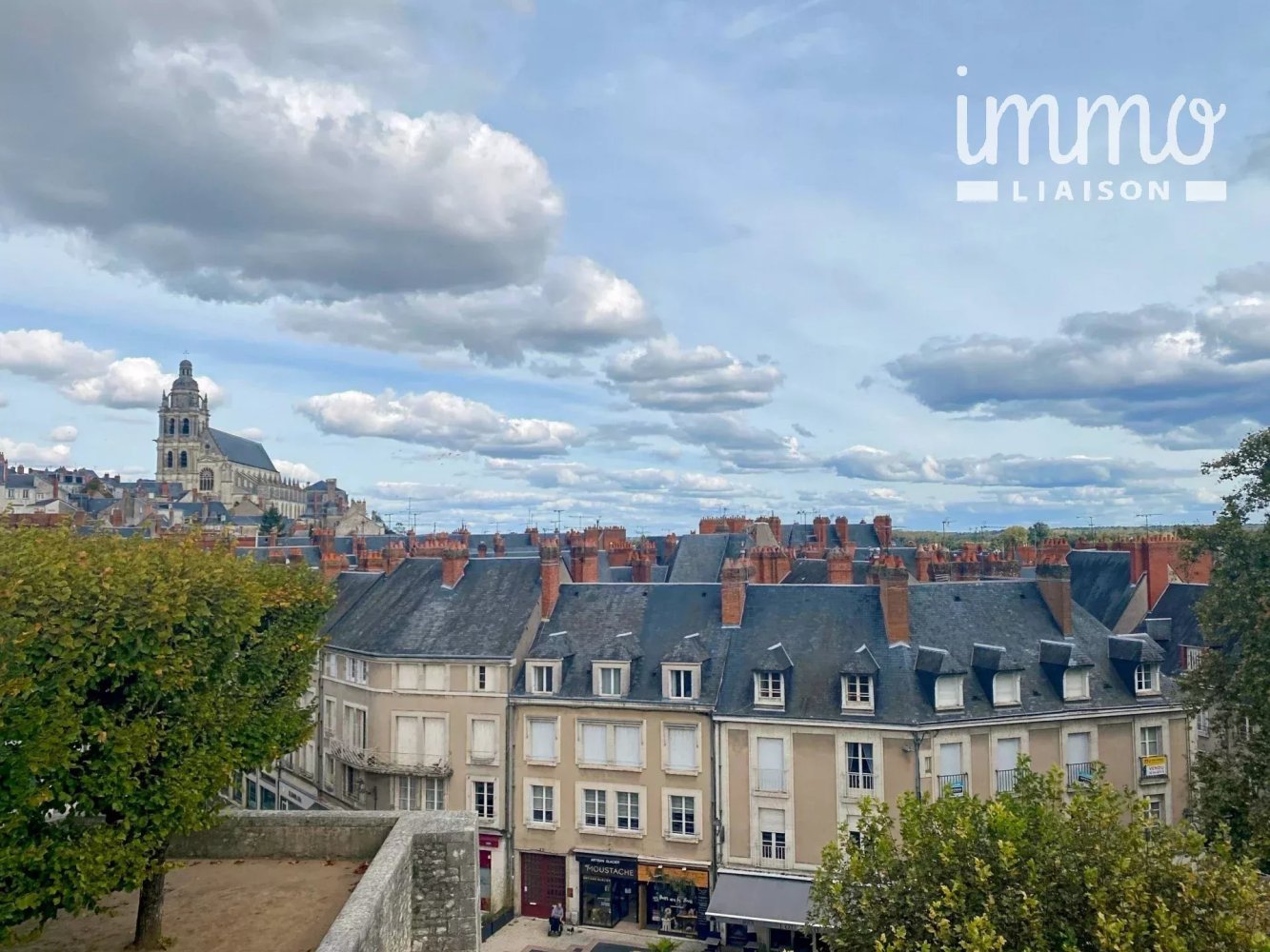 240m² Commercial property in Blois, France No. 95056