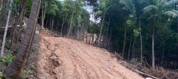  Commercial property in Surat Thani, Thailand No. 13800 9