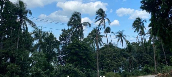  Commercial property in Surat Thani, Thailand No. 13800 7