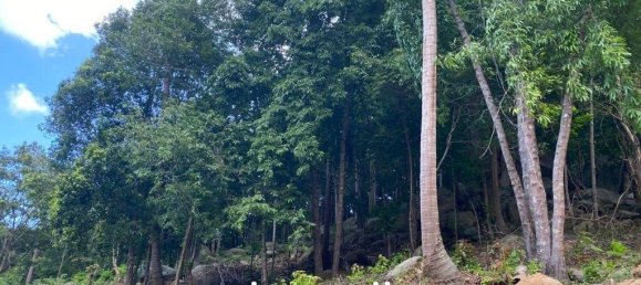  Commercial property in Surat Thani, Thailand No. 13800 5