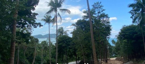  Commercial property in Surat Thani, Thailand No. 13800 2