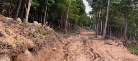  Commercial property in Surat Thani, Thailand No. 13800 10