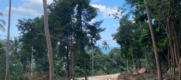  Commercial property in Surat Thani, Thailand No. 13800 6