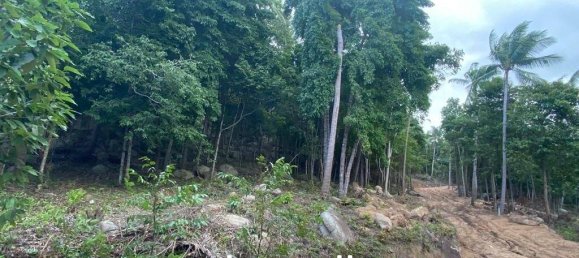  Commercial property in Surat Thani, Thailand No. 13800 8