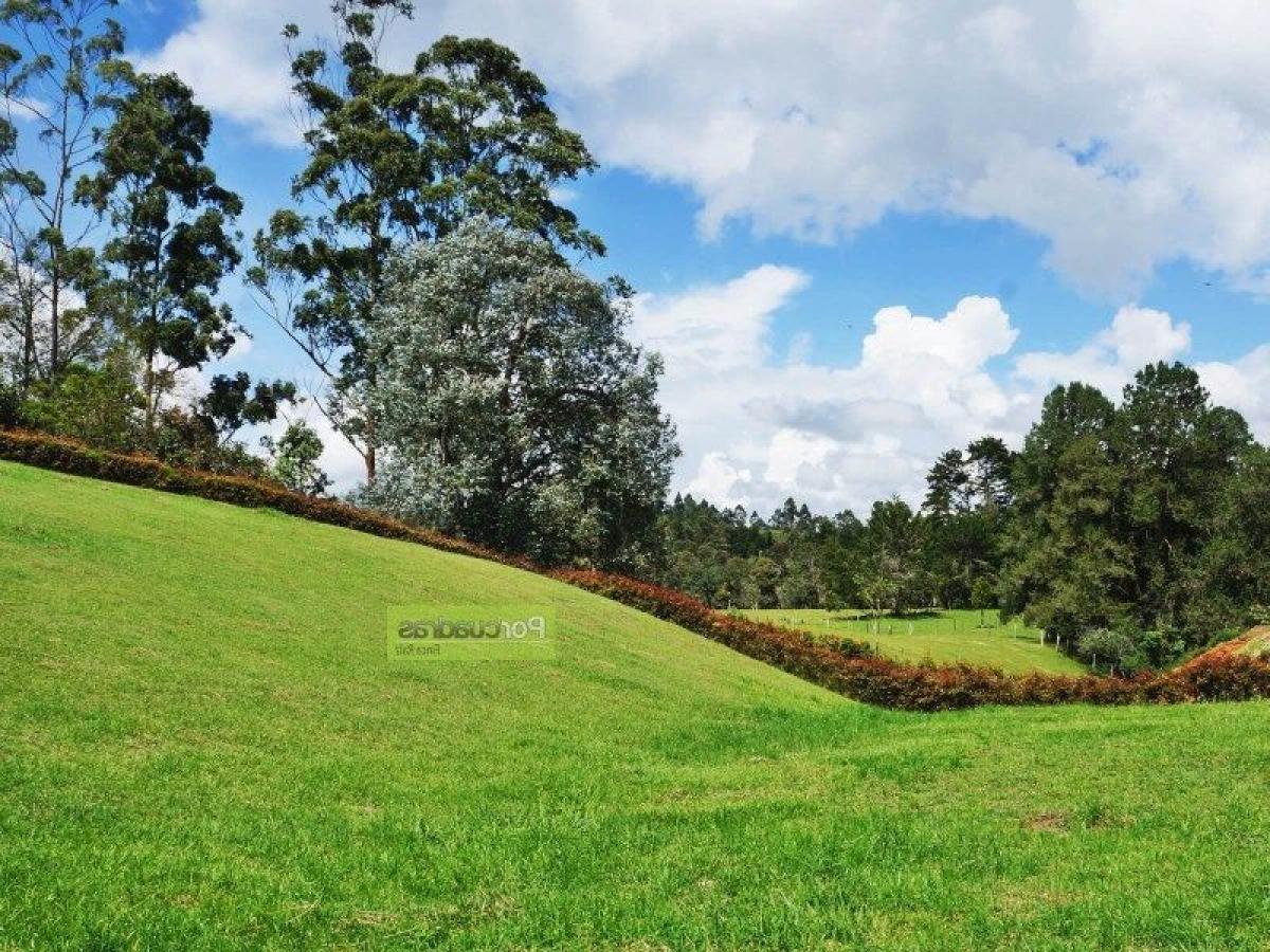  Land in Antioquia, Colombia No. 520