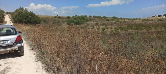 Grundstück in Pachino, Italy 19077m², Nr. 68335 4