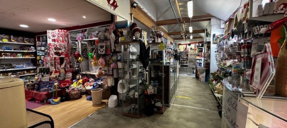 650m² Commercial property in Remilly, France No. 271580 5