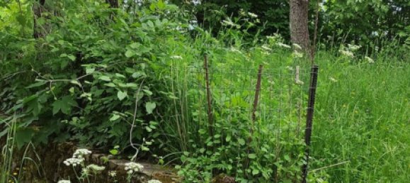 2 rooms Duplex in Fiumalbo, Italy No. 277470 18