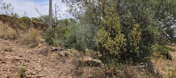 Casa de 1 dormitorio en Sao Bras de Alportel, Portugal No. 186110 5