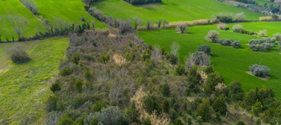 11-Zimmer Villa in Falconara Marittima, Italy, Nr. 107414 43