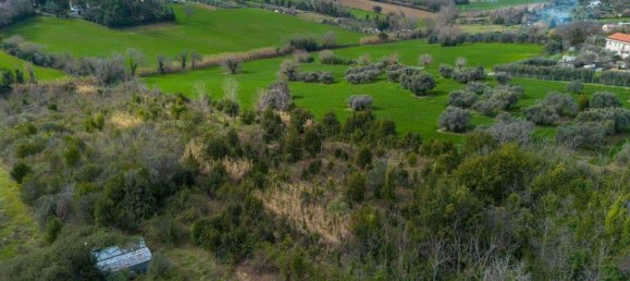 11-Zimmer Villa in Falconara Marittima, Italy, Nr. 107414 2