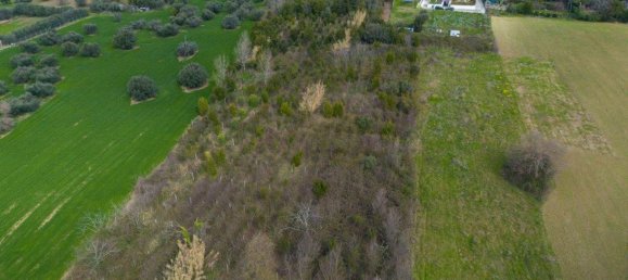 11-Zimmer Villa in Falconara Marittima, Italy, Nr. 107414 13