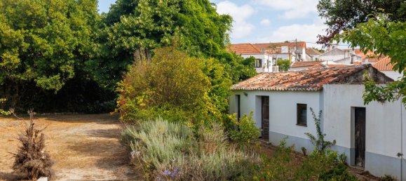 4 Schlafzimmer Grundstück in Bombarral, Portugal, Nr. 239176 32