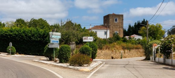 4 Schlafzimmer Grundstück in Bombarral, Portugal, Nr. 239176 35