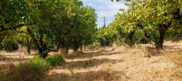 4 Schlafzimmer Grundstück in Bombarral, Portugal, Nr. 239176 39