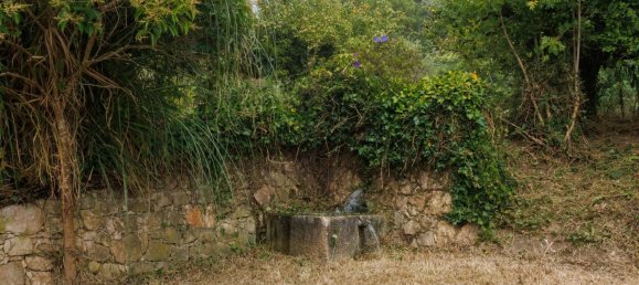 4 Schlafzimmer Grundstück in Bombarral, Portugal, Nr. 239176 37