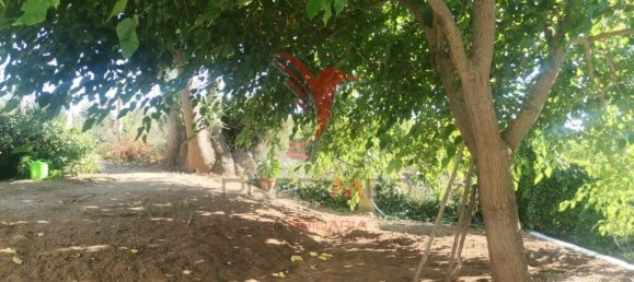 5 Schlafzimmer Haus in Beja, Portugal, Nr. 40995 11