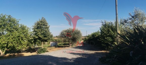 5 Schlafzimmer Haus in Beja, Portugal, Nr. 40995 14