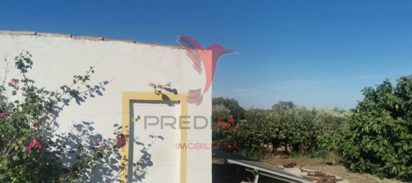 5 Schlafzimmer Haus in Beja, Portugal, Nr. 40995 12