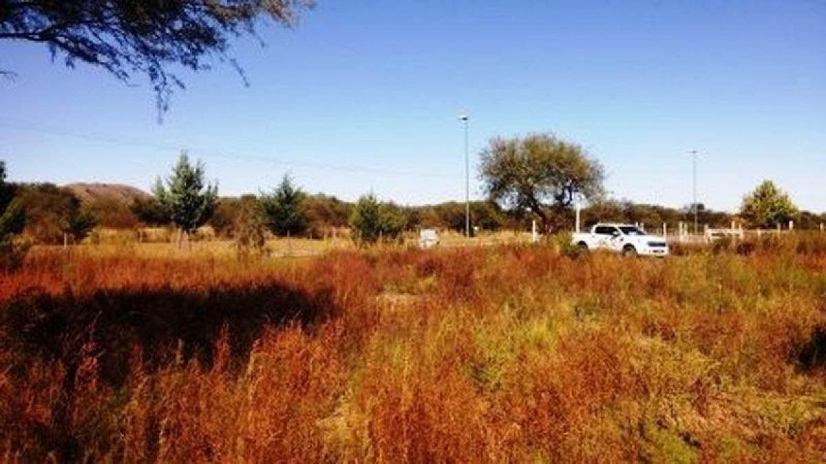 Terrain à San Luis, Argentina No. 45444