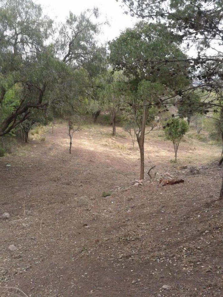  Land in Cordoba, Argentina No. 34952