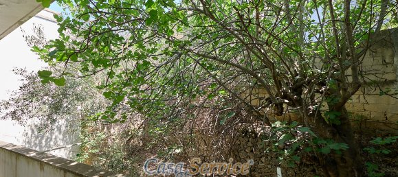 4 Schlafzimmer Haus in Matino, Italy, Nr. 60355 44