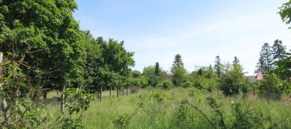 4927m² Land in Marchegg, Austria No. 164272 2