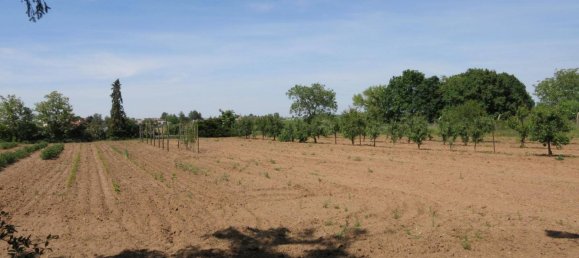 4927m² Land in Marchegg, Austria No. 164272 3