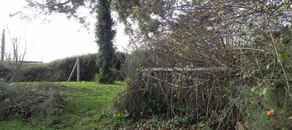 Casa de 6 habitaciónes en Locquirec, France No. 364113 12