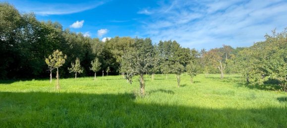 Apartamento de 1 dormitorio en Hochtaunuskreis, Germany No. 332714 10