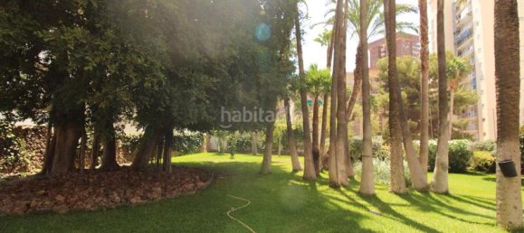 3 Schlafzimmer Penthouse in Benidorm, Spain, Nr. 74690 41