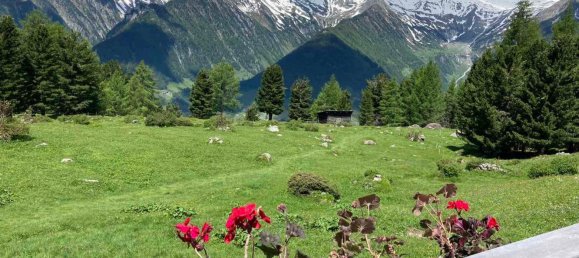 2 rooms Apartment in Trentino-Alto Adige, Italy No. 309722 12