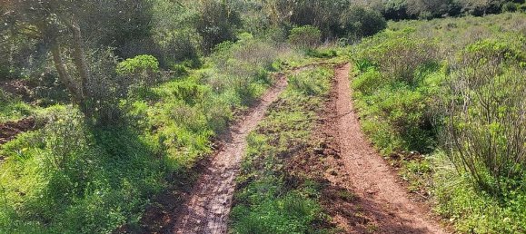 Terreno en Loures, Portugal 16760 m² No. 70270 7