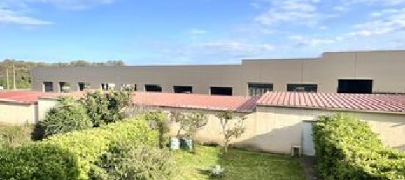 2 bedrooms Apartment in Biguglia, France No. 304893 9