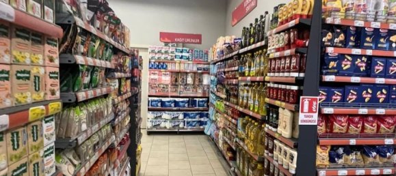 220m² Commercial property in Istanbul, Turkey No. 33891 8