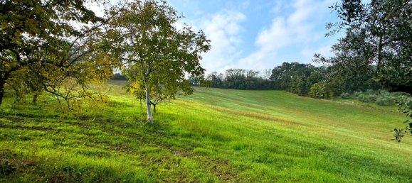 Дом с 10 комнатами в Монтоттоне, Италия № 203845 22