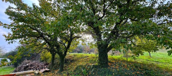 Дом с 10 комнатами в Монтоттоне, Италия № 203845 23