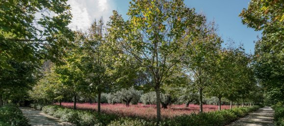 6 bedrooms Land in Cantanhede, Portugal No. 112342 47