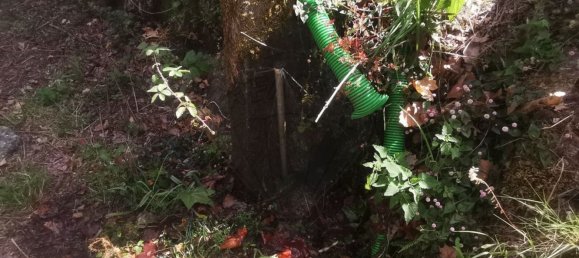 2 غرف نوم منزل في Amares, Portugal رقم 176569 36