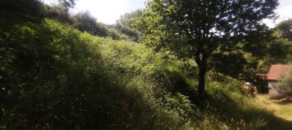 2 غرف نوم منزل في Amares, Portugal رقم 176569 21