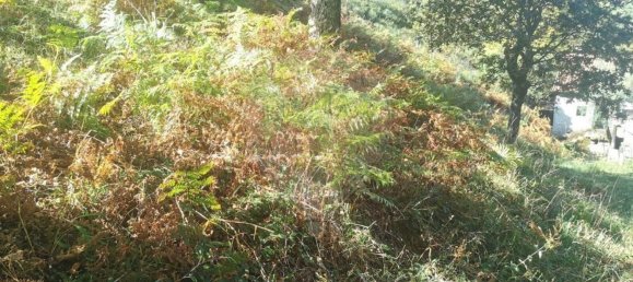 2 غرف نوم منزل في Amares, Portugal رقم 176569 14