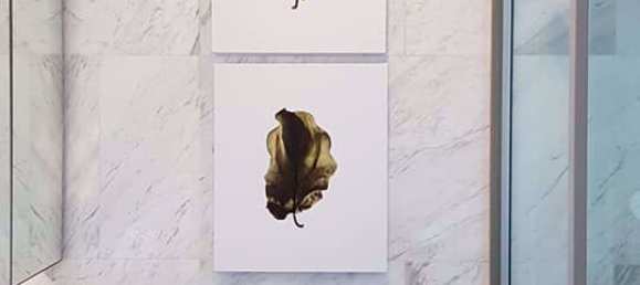 1 bedroom Condo in Bang Rak, Thailand No. 10092 4