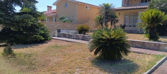 4 Schlafzimmer Haus in Santarem, Portugal, Nr. 274248 26