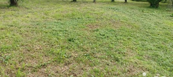  قطعة أرض في Champagne-Saint-Hilaire, France 661متر مربع رقم 313019 4