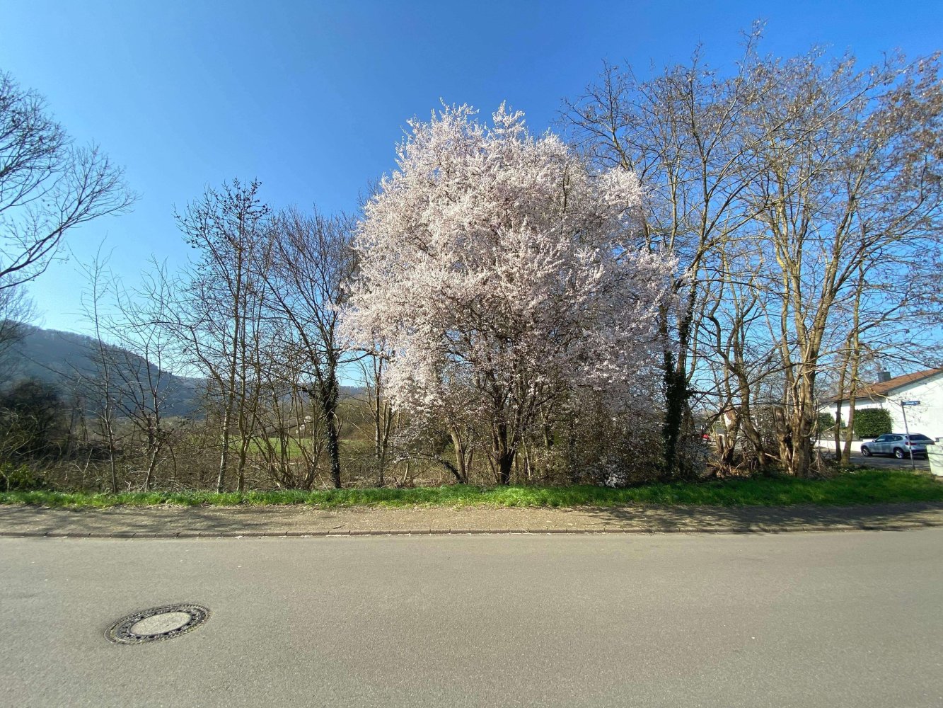  Land in Saarland, Germany No. 26437