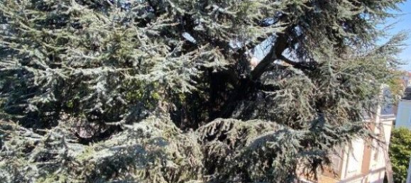 Apartamento T2 em Enghien-les-Bains, France N.º 187262 6