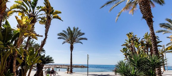 2 غرف نوم شقة في Torrevieja, Spain رقم 6495 16