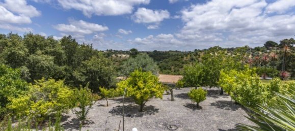 7 bedrooms Villa in Santarem, Portugal No. 127175 45