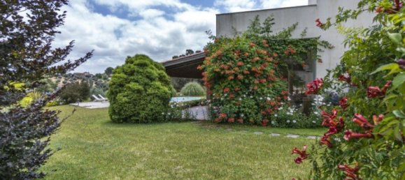 7 bedrooms Villa in Santarem, Portugal No. 127175 43