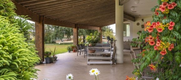 7 bedrooms Villa in Santarem, Portugal No. 127175 49